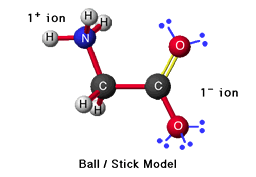 Ball and Stick Model