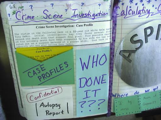 CSI activity in interactive notebook