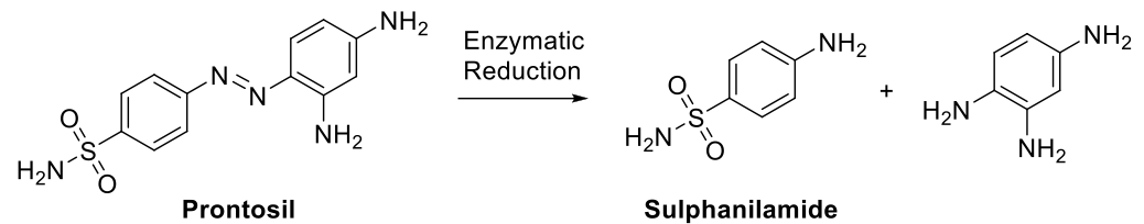 Enzymatic reduction of prontosil to form sulphanilamide and benzene-1,2,4-triamine