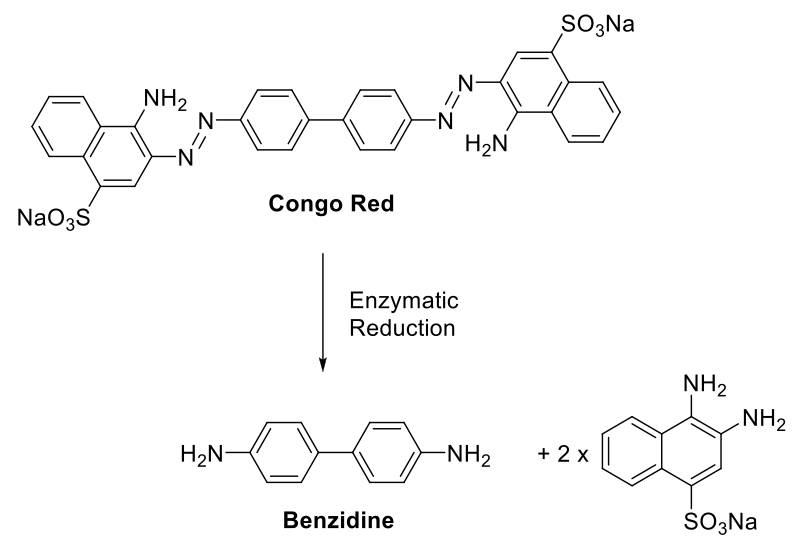Formation of carcinogenic benzidine (1,1'-biphenyl-4,4'-diamine) by reduction of congo red