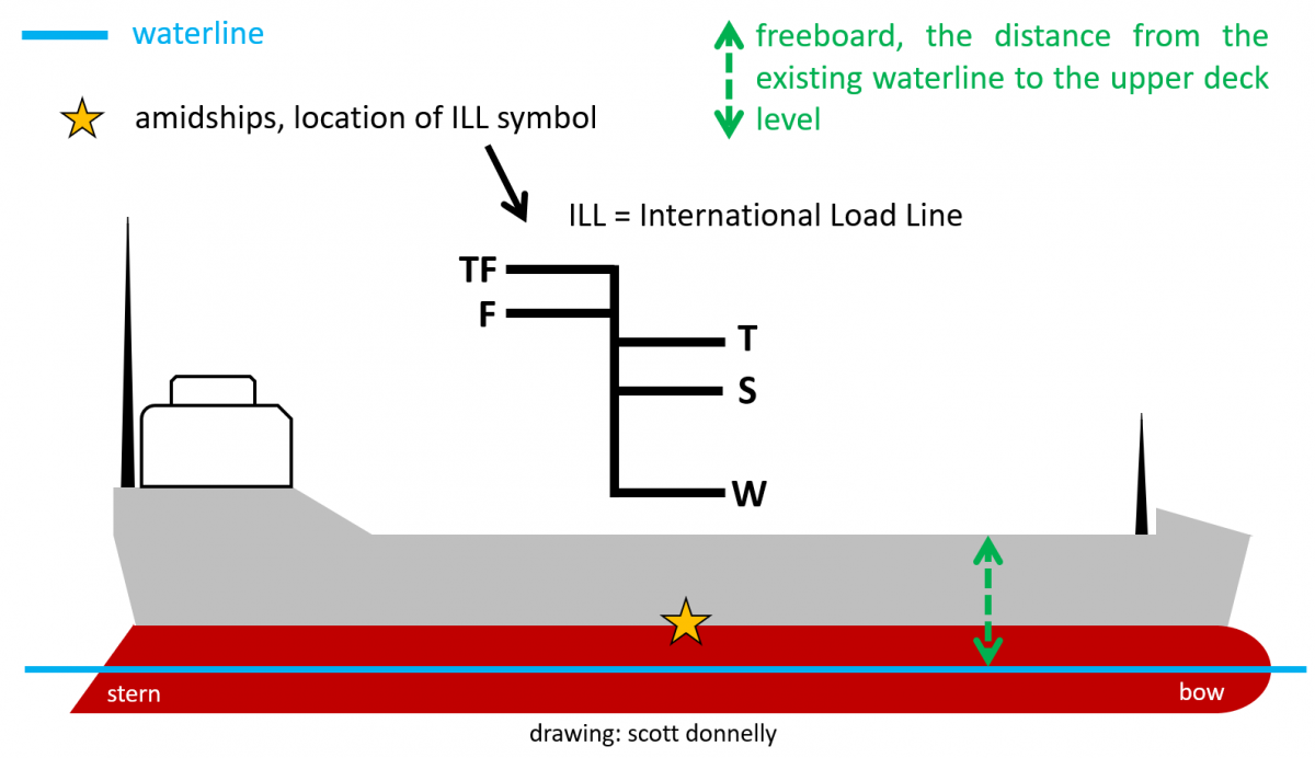 ships anatomy with ILL