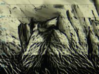 Nov 2016 cover of JCE