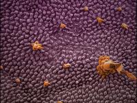 Journal of Chemical Education September 2019 Cover