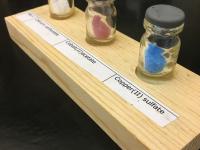 Vials of substances that students will name or write formulas for