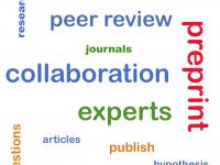 word cloud image with collaboration peer review experts and related terms