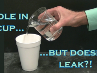 A cup full of water...but it doesn't leak!