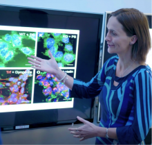 Dr. Allerton presenting using a screen with images of molecules