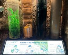 Exhibits from the Beverly S. Sheffield Education Center near Barton Springs Pool in Austin, TX