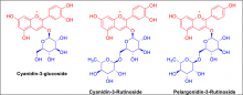 molecular structures of glycosylated anthocyanins present in raspberries and brambles