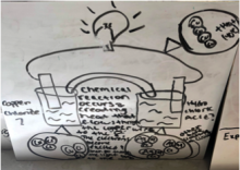 student drawing of cells #3