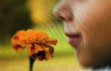 face of young person smelling orange flower