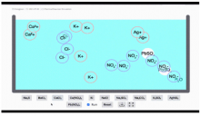 screenshot of Java Lab simulation of a precipitation reaction