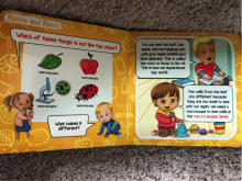 image of open book pages showing macro and micro organization