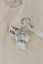deteriorating plastic bag on beach sand