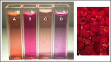 raspberry extract solutions A, B, C & D in vials next to image of raspberries