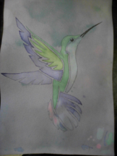 Drawing colored with anthocyanin pigments