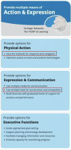 Figure 7: UDL infographic action and expression section with highlighted areas (CAST, 2018)