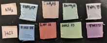 Samples of plastic from thermochromic cups exposed to ammonia and hydrogen chloride vapor